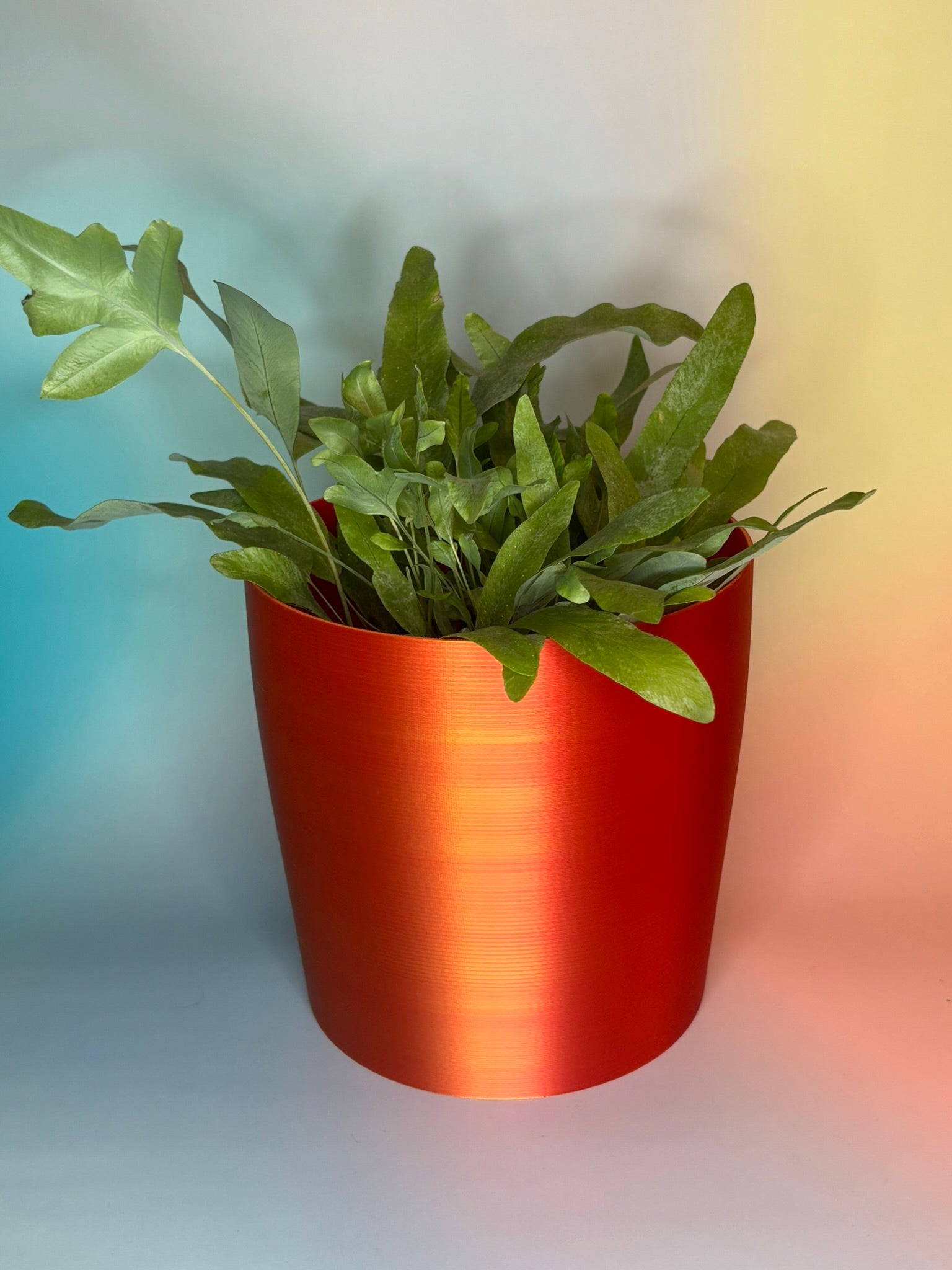 Duża doniczka podstawowa