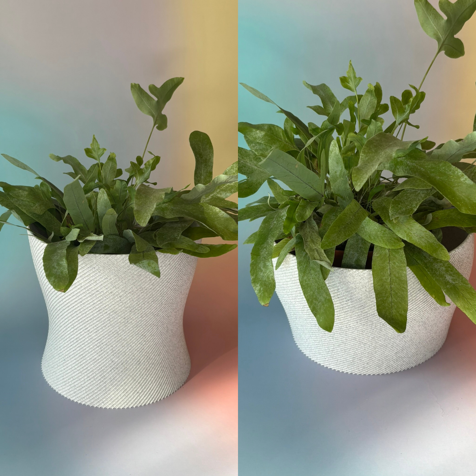 Zestaw doniczek Pojedynczy Szew